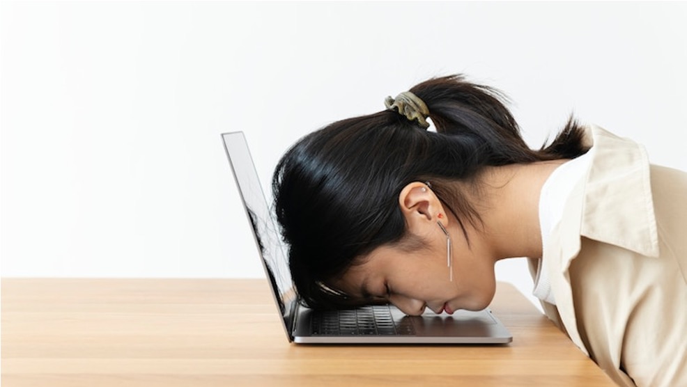 노션 (Notion) 템플릿 공유 :: 이력서 작성 방법