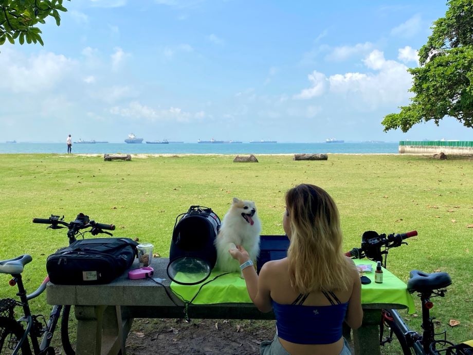 “해외취업 성공, 연봉 3배 올린 비결은” 
글로벌 핀테크 제휴 마케팅 신기쁨(1)